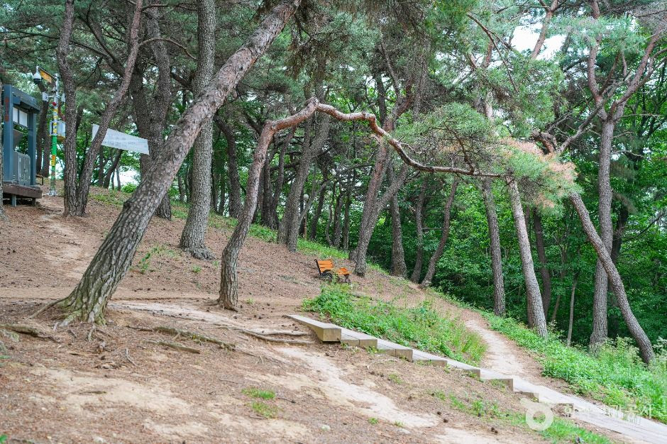 장무공원 여행 추천 - 로드트립