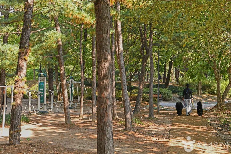 효원공원 여행 추천 - 로드트립