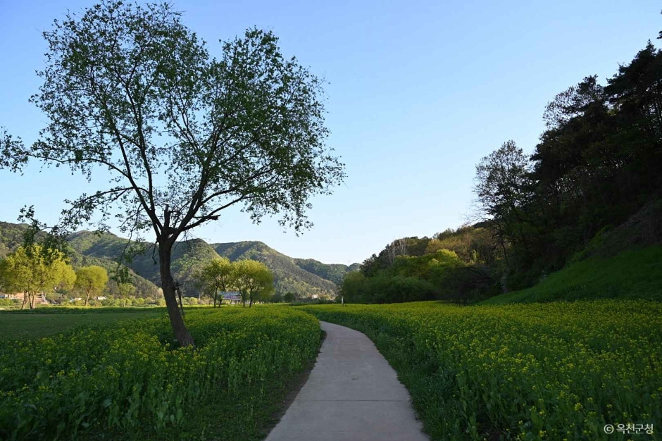 옥천금강수변 친수공원 여행 추천 - 로드트립