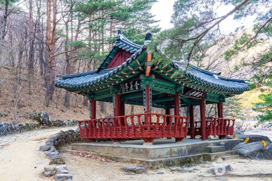 금란정 여행 추천 - 로드트립