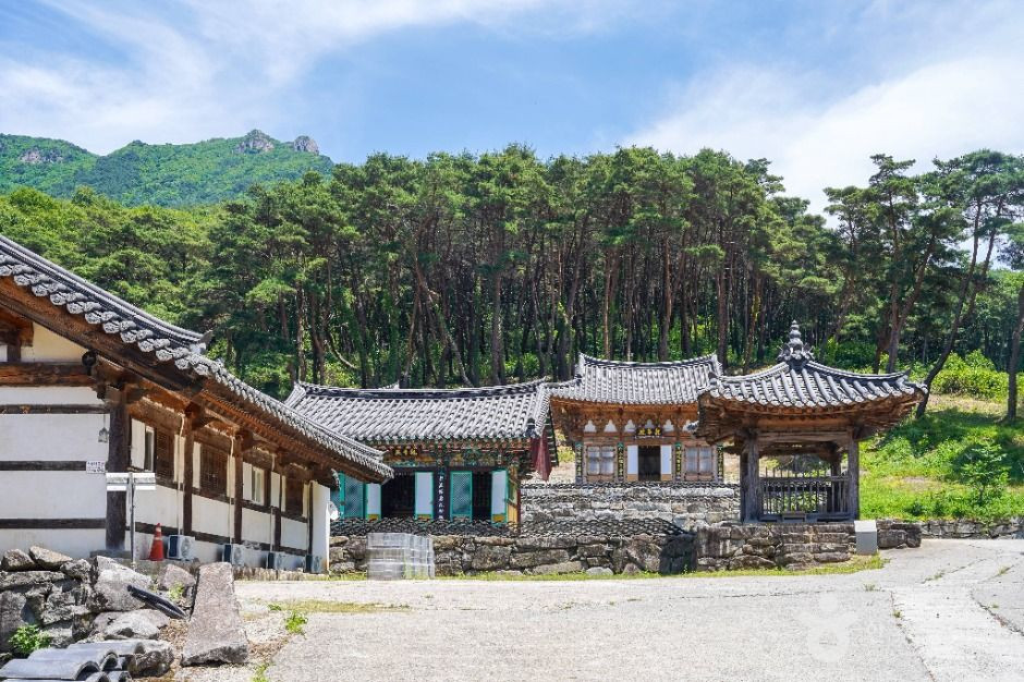 비슬산 유가사 여행 추천 - 로드트립