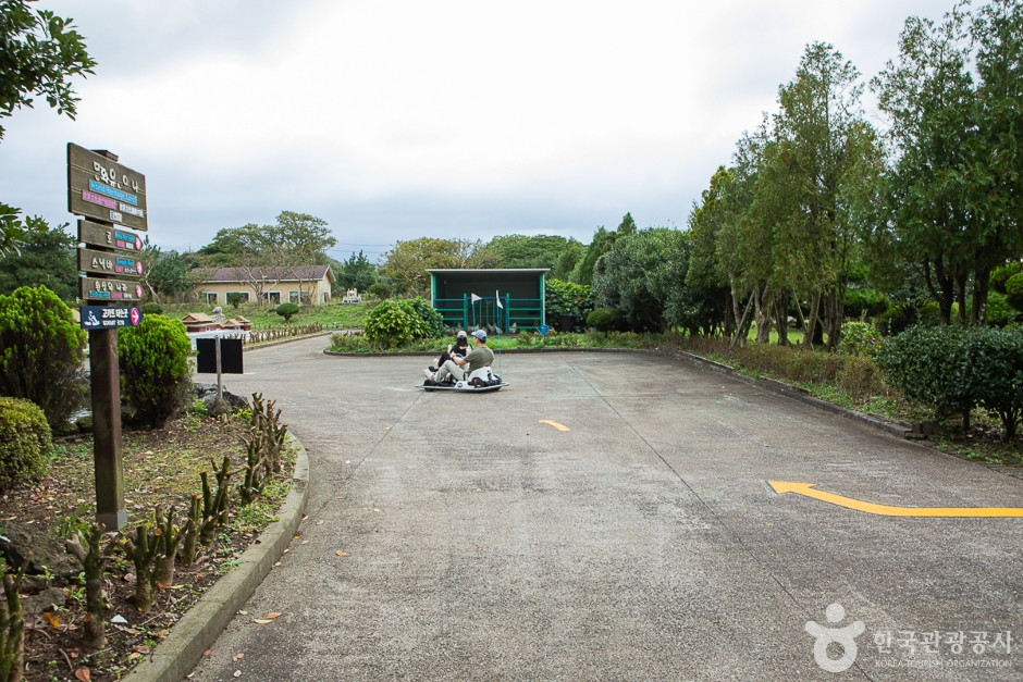 제주 센트럴파크 여행 추천 - 로드트립