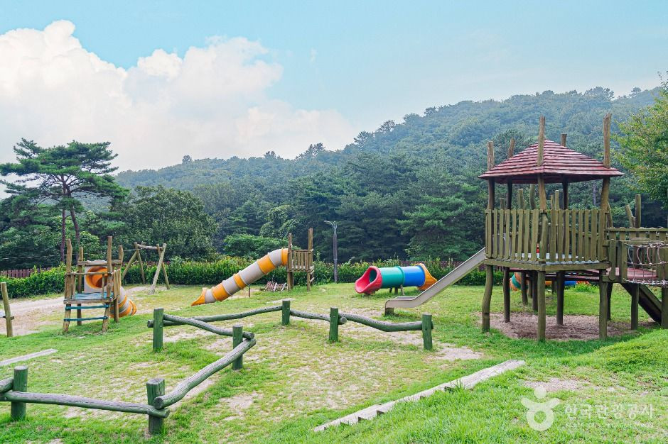 금성산생태숲 여행 추천 - 로드트립