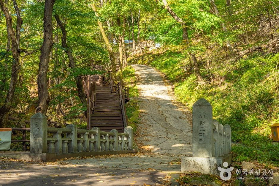 복천암(보은) 여행 추천 - 로드트립