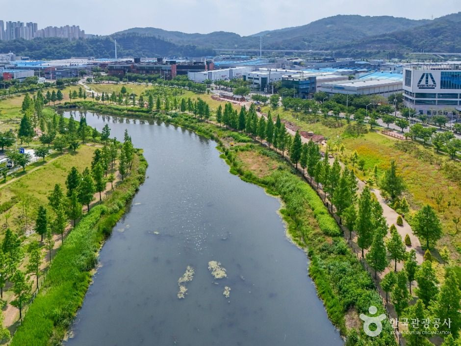 대구 세천늪테마정원 여행 추천 - 로드트립