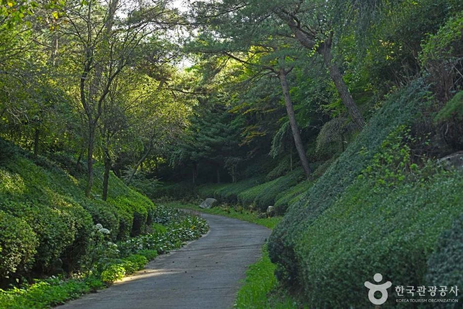 척야산 문화수목원 여행 추천 - 로드트립