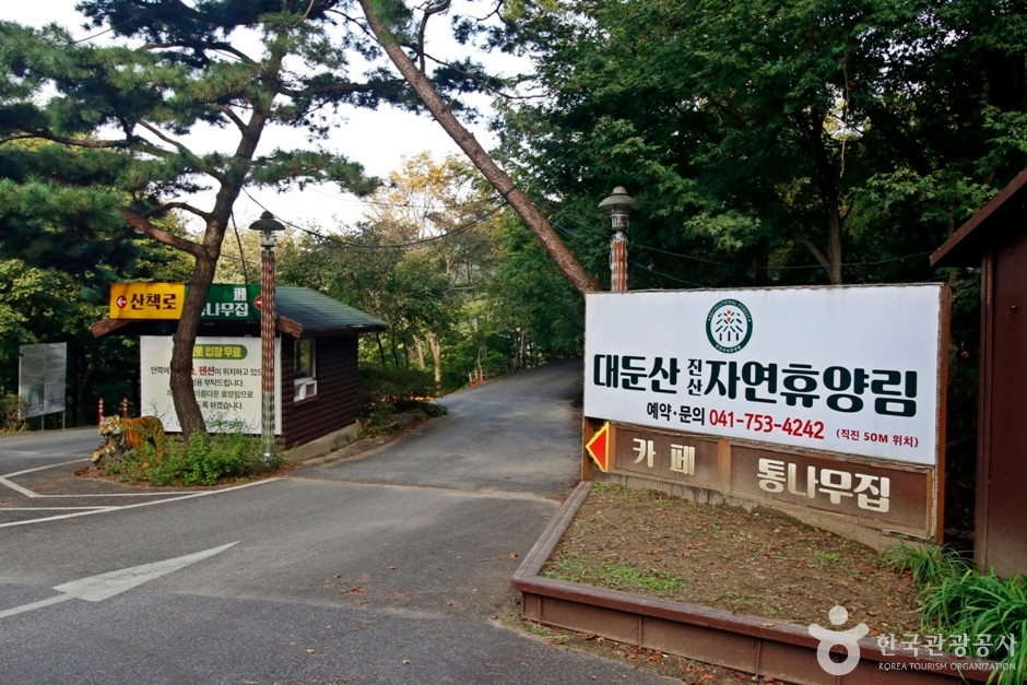 대둔산자연휴양림 여행 추천 - 로드트립