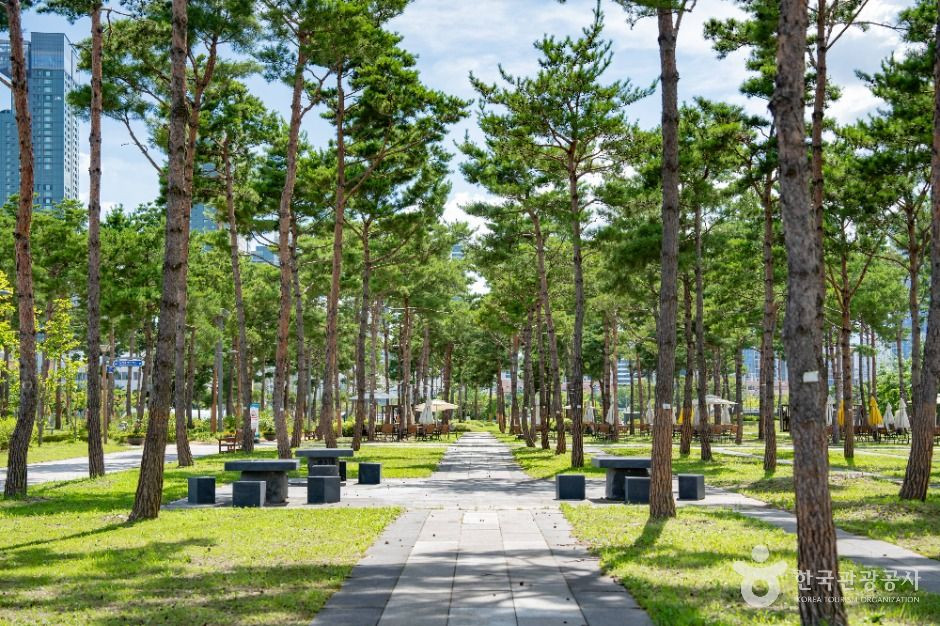 세종중앙공원 여행 추천 - 로드트립