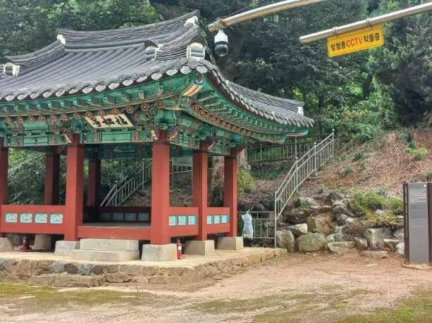 고송정지 여행 추천 - 로드트립