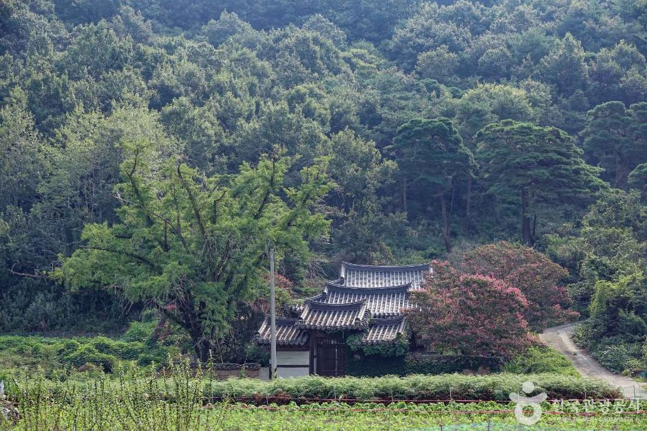 의양서원 여행 추천 - 로드트립