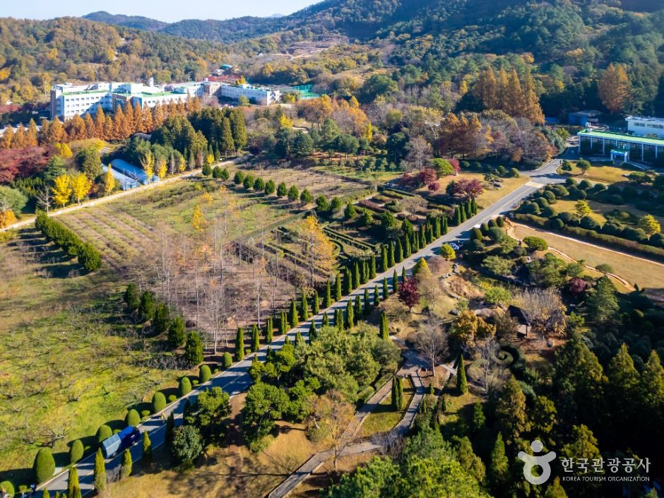 전라남도 산림연구원 여행 추천 - 로드트립