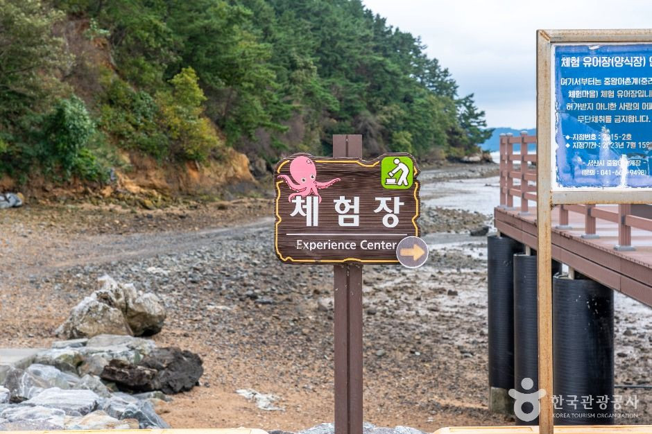 중리어촌체험마을 여행 추천 - 로드트립