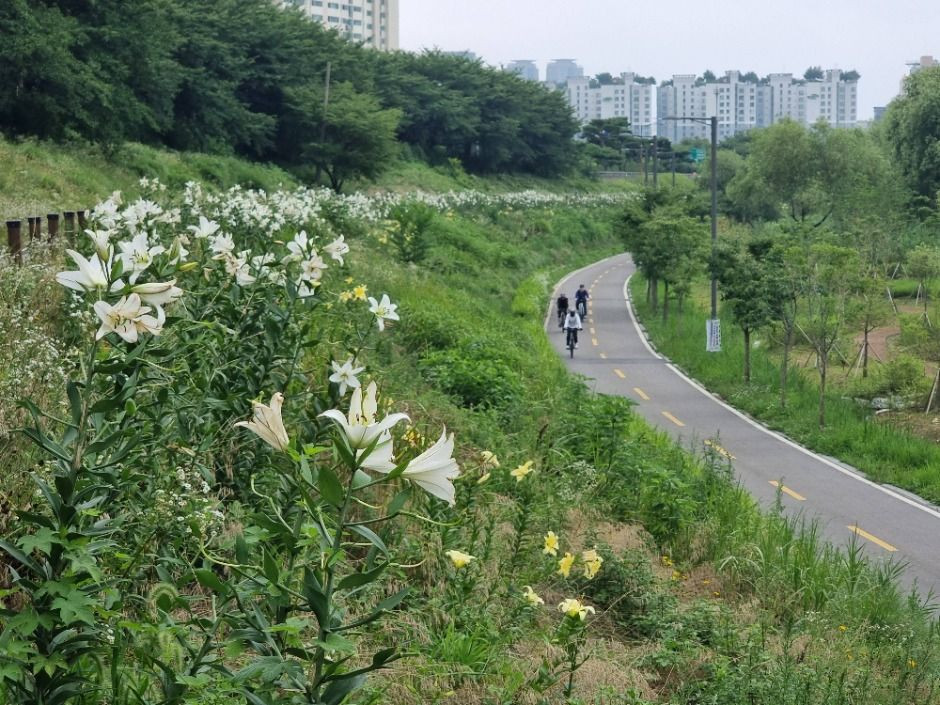 [서울둘레길 14코스] 안양천 하류코스 여행 추천 - 로드트립