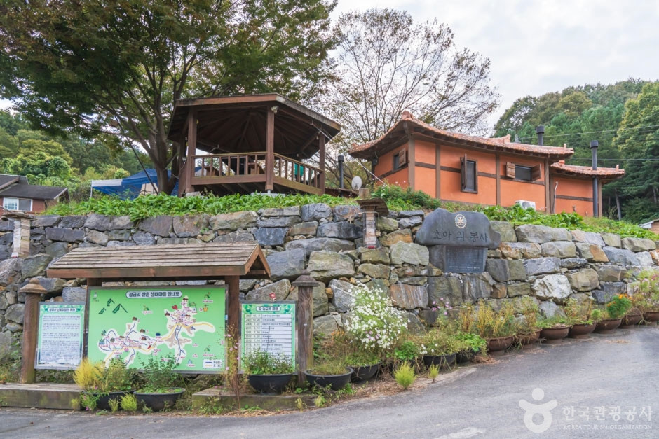 칠갑산산꽃마을 여행 추천 - 로드트립