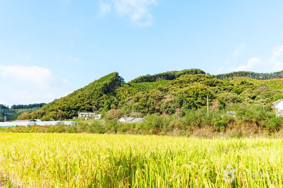 천안 두아람마을 [농촌전통테마] 여행 추천 - 로드트립