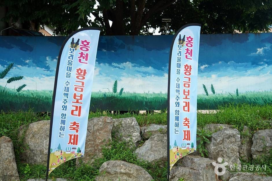 홍천 무궁화마을 여행 추천 - 로드트립