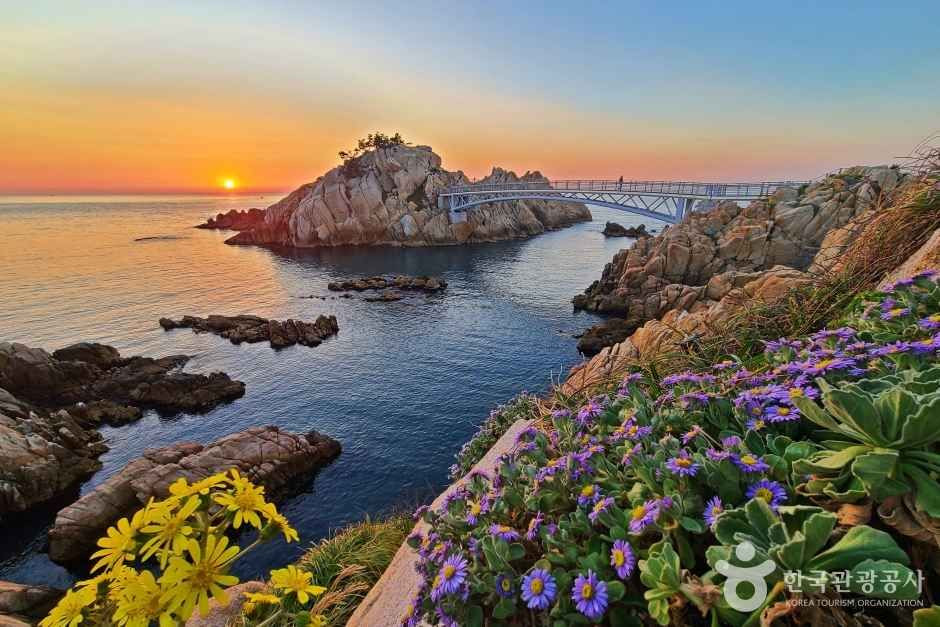 대왕암공원 여행 추천 - 로드트립