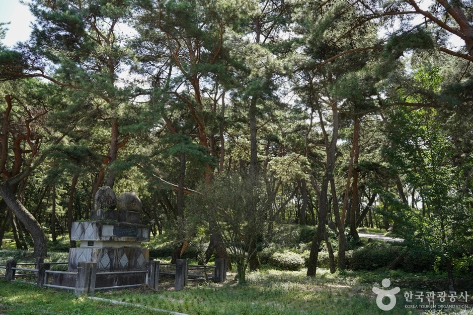 곰내미체험마을 여행 추천 - 로드트립