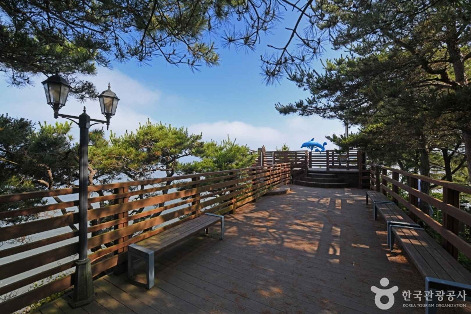 속동전망대 여행 추천 - 로드트립