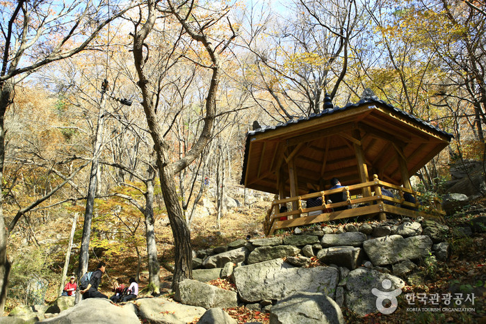 팔공산국립공원(군위군) 여행 추천 - 로드트립