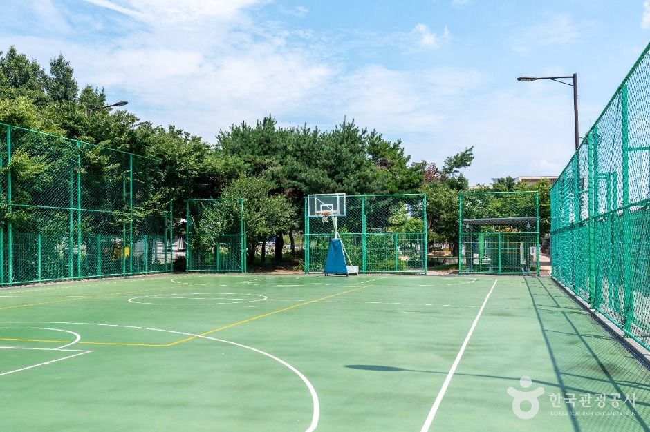 포승레포츠공원 여행 추천 - 로드트립
