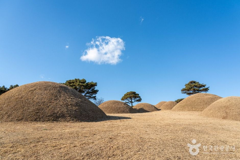 합천 옥전 고분군 여행 추천 - 로드트립