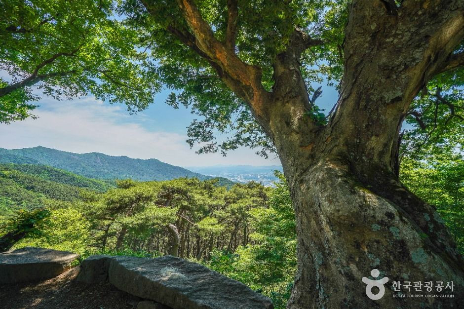 도성암(달성) 여행 추천 - 로드트립