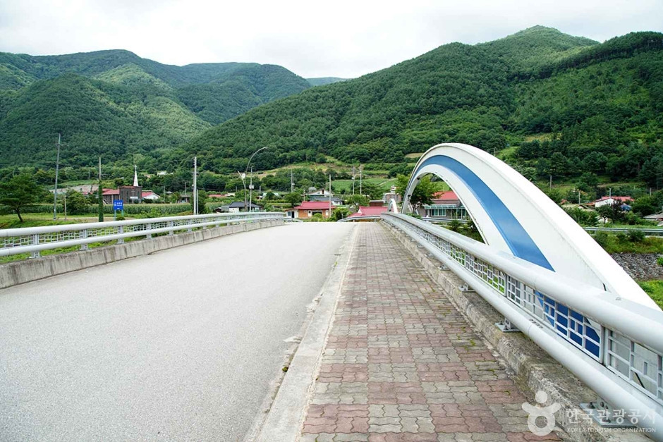 정선 가리왕산마을 여행 추천 - 로드트립