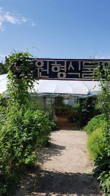 두물머리생태학교 여행 추천 - 로드트립