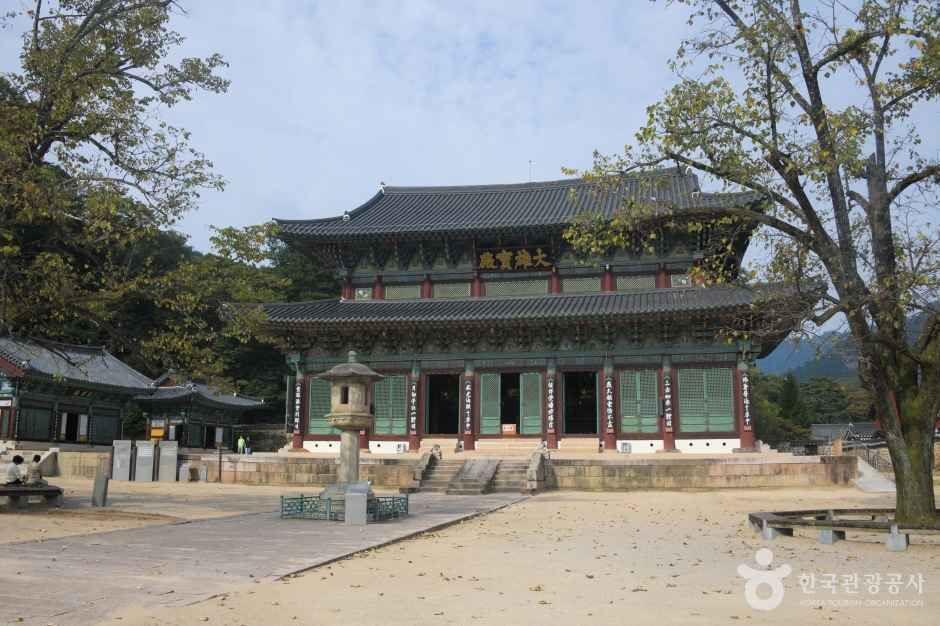 보은 법주사 [유네스코 세계유산] 여행 추천 - 로드트립