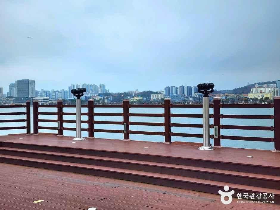 청초호 호수공원 여행 추천 - 로드트립