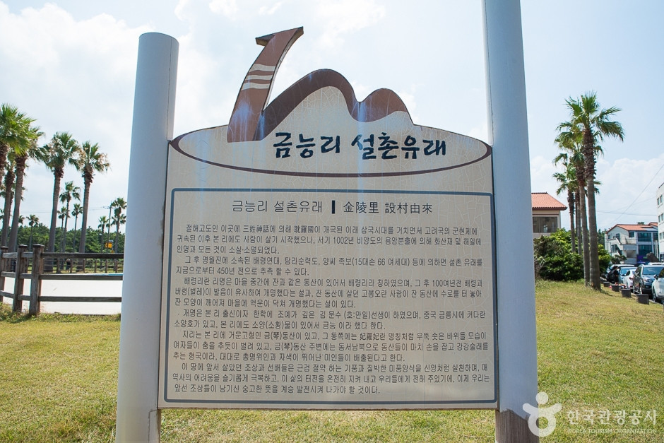 금능돌담해변길 여행 추천 - 로드트립