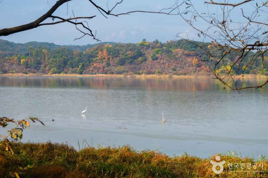 창녕 우포늪 여행 추천 - 로드트립