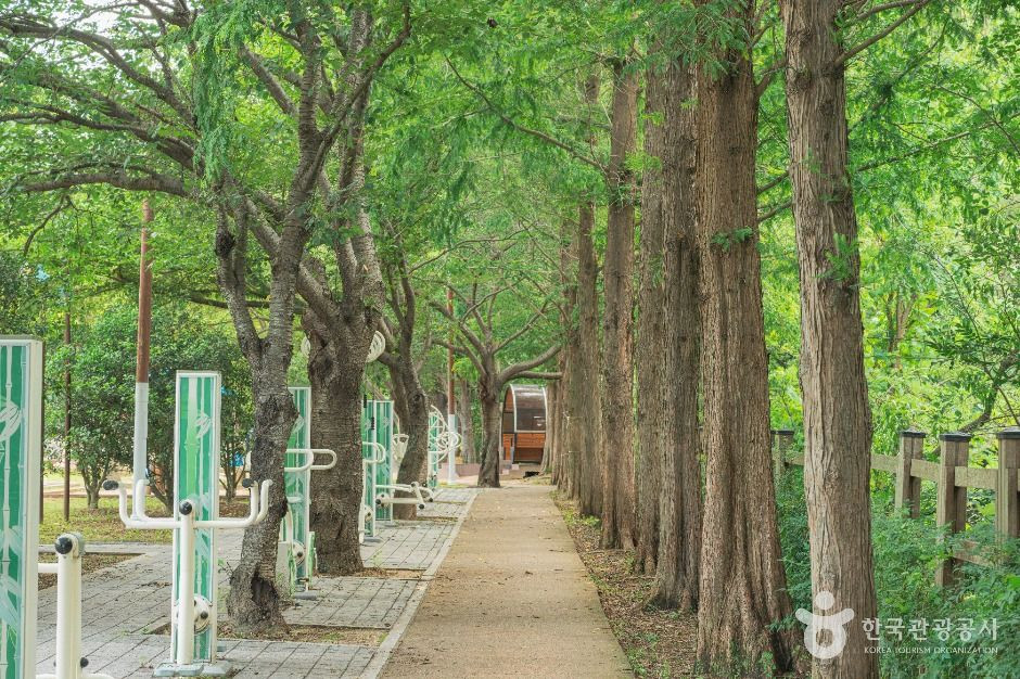 오치골공원 여행 추천 - 로드트립