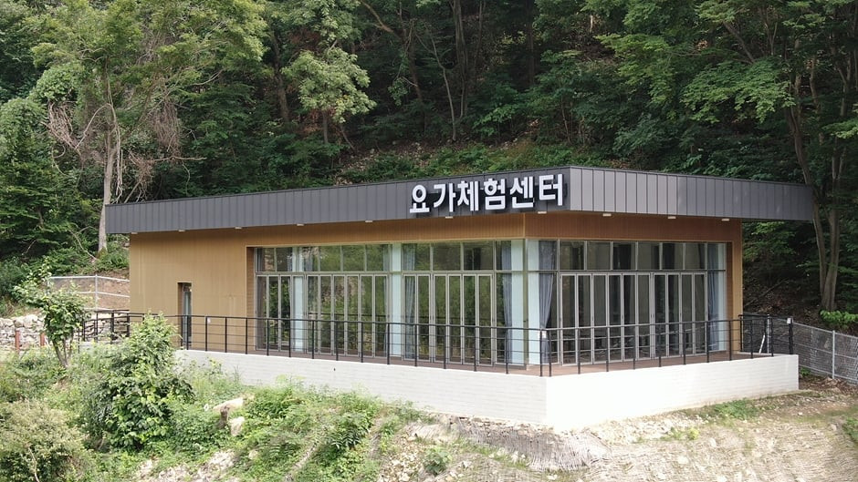 밀양 도래재 자연휴양림 여행 추천 - 로드트립