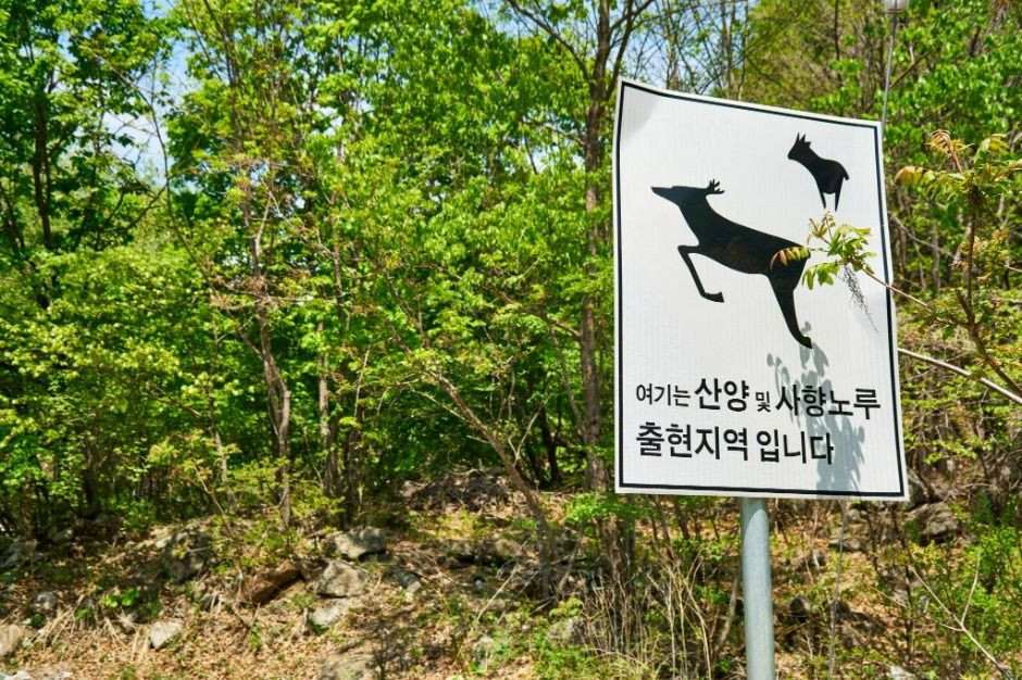 백암산 케이블카 여행 추천 - 로드트립