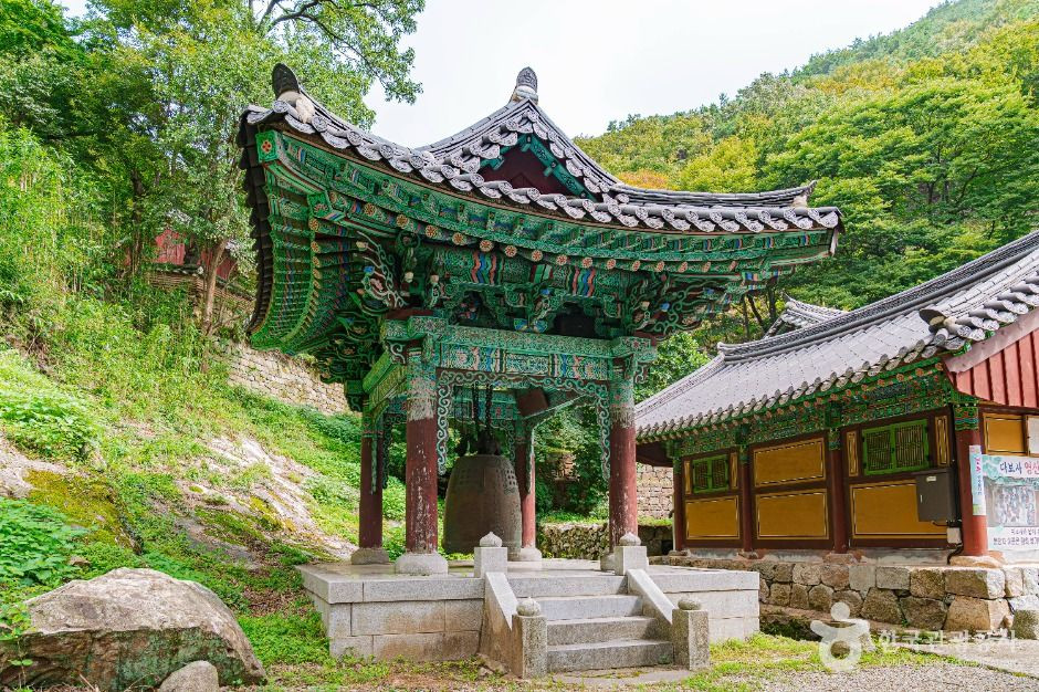 다보사(나주) 여행 추천 - 로드트립