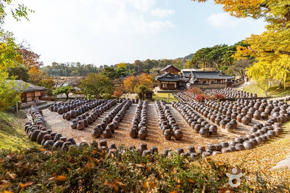 논산명재고택 여행 추천 - 로드트립