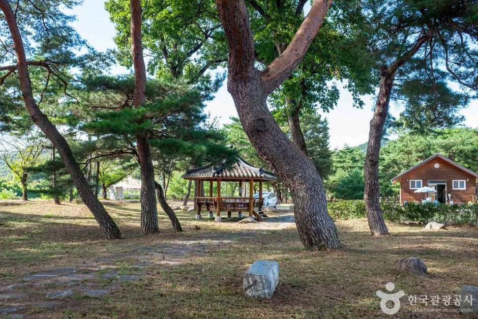 백운정 여행 추천 - 로드트립