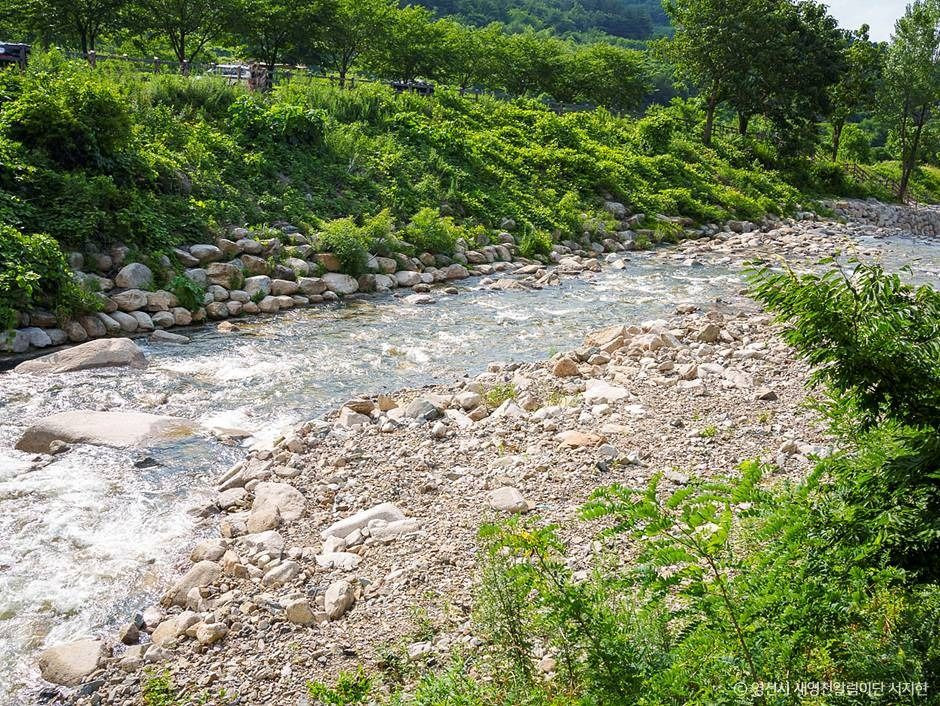 치산계곡 여행 추천 - 로드트립