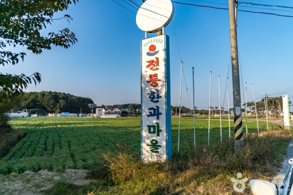 강릉 모래내 한과마을(갈골한과) 여행 추천 - 로드트립