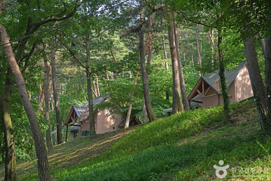 만수산자연휴양림 여행 추천 - 로드트립