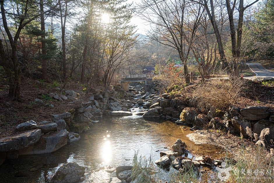 유명산계곡 여행 추천 - 로드트립