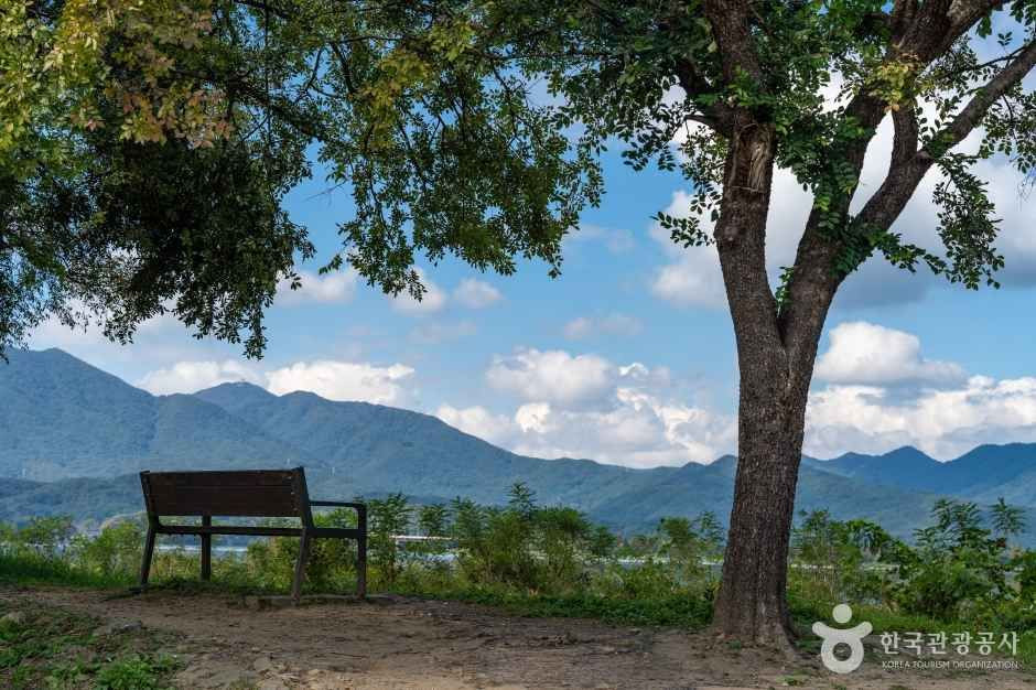 팔당물안개공원 여행 추천 - 로드트립