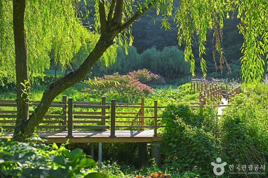 보은산V랜드 여행 추천 - 로드트립