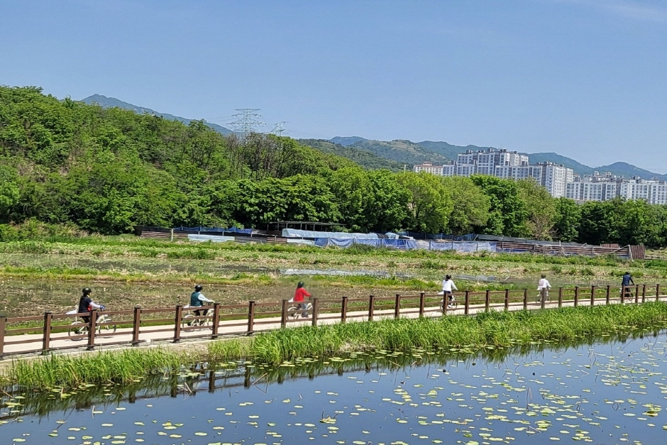 무덤덤투어(더휴앤) 여행 추천 - 로드트립
