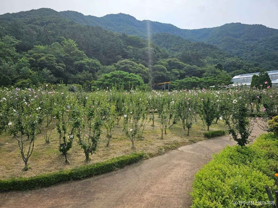 고산문화공원 여행 추천 - 로드트립