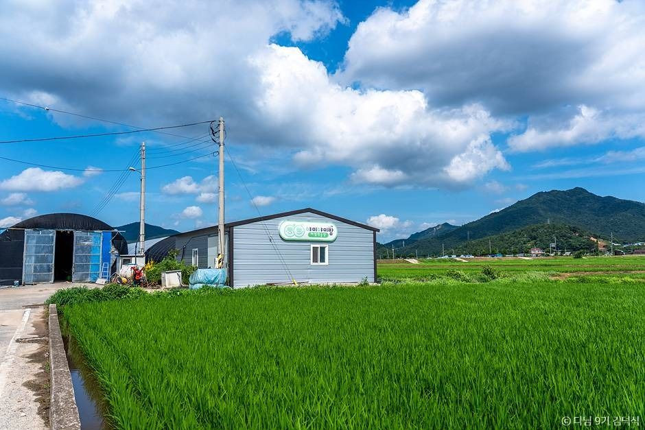 야미야미팜(야미야미팜농업회사법인(주)) 여행 추천 - 로드트립