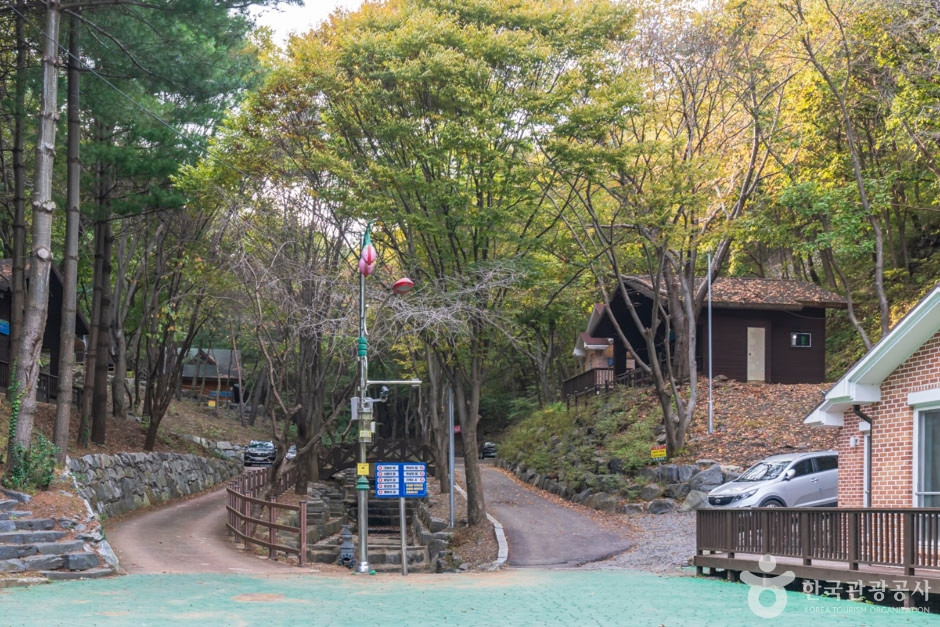 칠갑산자연휴양림 여행 추천 - 로드트립
