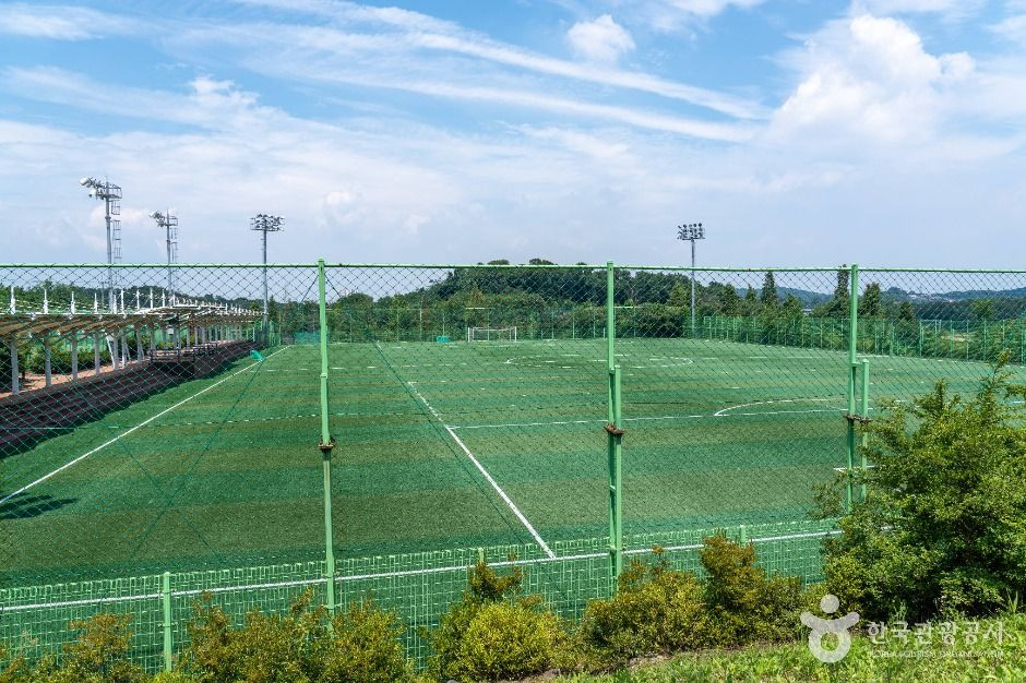 안중레포츠공원 여행 추천 - 로드트립
